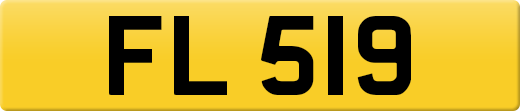 FL519